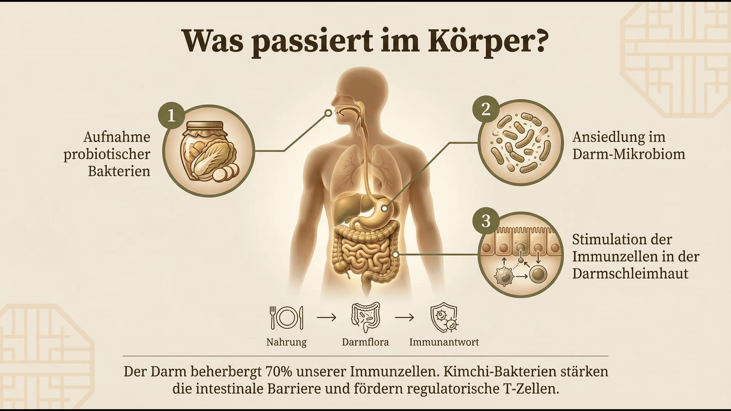 Was passiert im Körper